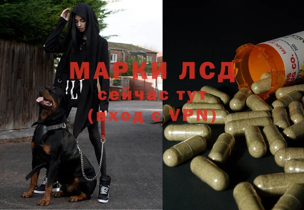гидропоника Абаза