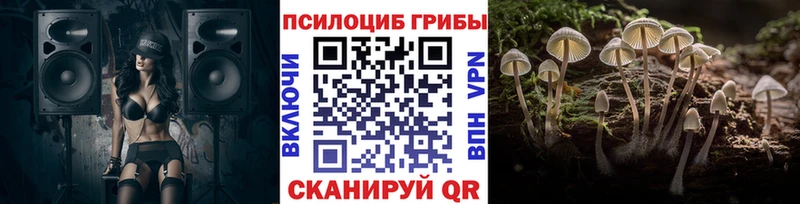 Псилоцибиновые грибы GOLDEN TEACHER  где найти наркотики  Пудож 